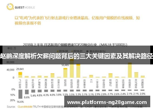 赵鹏深度解析欠薪问题背后的三大关键因素及其解决路径